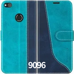 Flash Promotion 9096